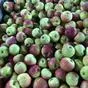 яблоки урожая 2021 года от производителя в Усмани 8